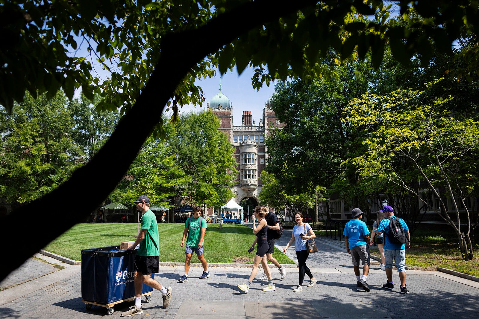 quadrangle during move in